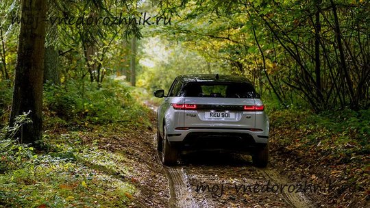 Range Rover Evoque 2019 вид спереди