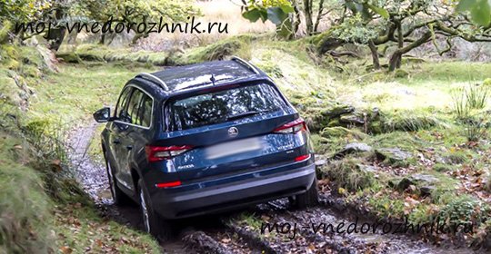 Skoda Kodiak отзывы с фото