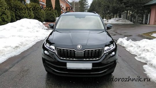 Skoda Kodiaq 2018 отзывы с фото