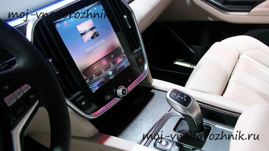 Центральный дисплей VinFast Lux SA2.0
